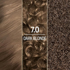 Schwarzkopf Keratin Blonde Hair Dye, 7.0 Dark Blonde, Professional Quality Permanent Hair Color, Bond Enforcing System Helps Prevent Breakage* Pre-Color Serum & Conditioner Included