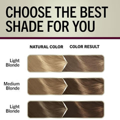 Schwarzkopf Keratin Blonde Hair Dye, 7.0 Dark Blonde, Professional Quality Permanent Hair Color, Bond Enforcing System Helps Prevent Breakage* Pre-Color Serum & Conditioner Included